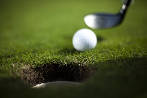 Golfový míček na zelené louce, řidič — Stock fotografie