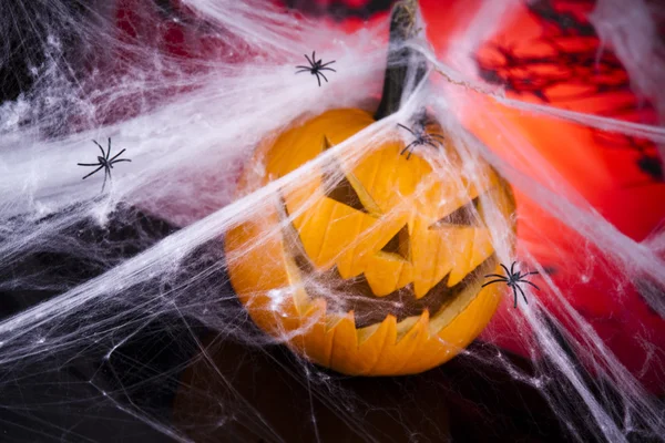 Halloween pozadí webové a spider, dýně — Stock fotografie
