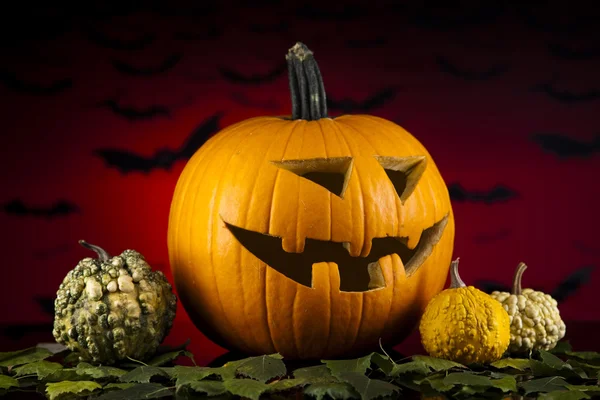 Funny face pumpkin, Halloween — Stock Photo, Image