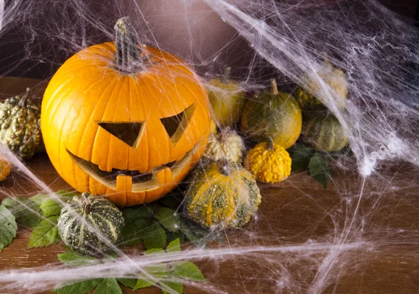 Halloween pumpkin Jack — Stock Photo, Image