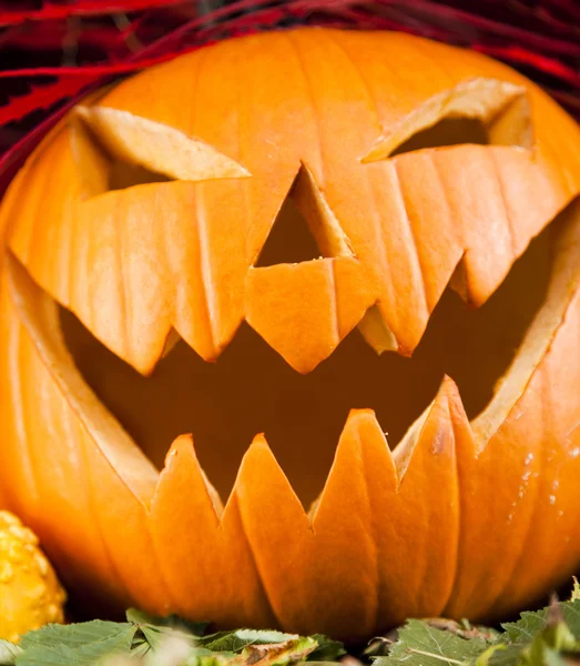 Halloween Pumpkin — Stock Photo, Image