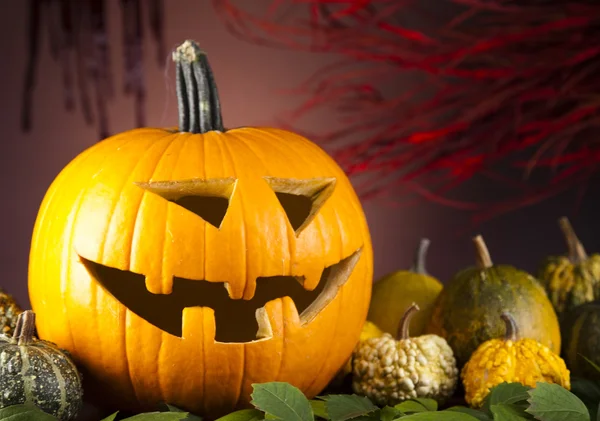 Roliga ansikte pumpa, halloween — Stockfoto