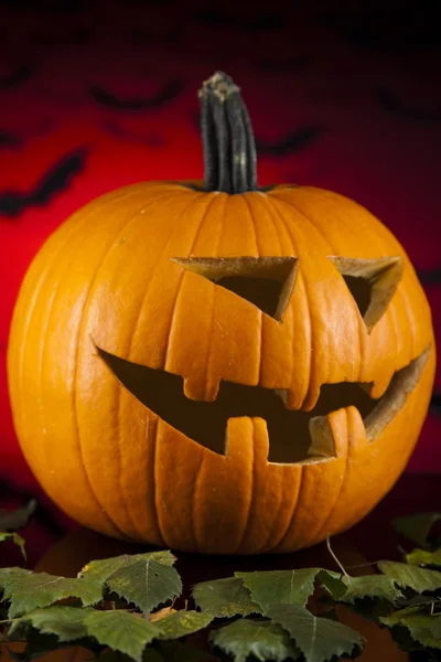 Halloween Pumpkin — Stock Photo, Image