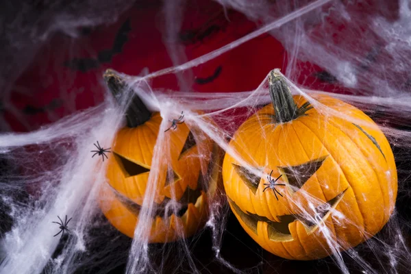 Scary Jack, halloween pumpkin and spider — Stock Photo, Image