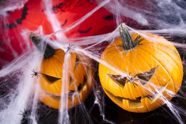 Scary Jack, halloween pumpkin and spider — Stock Photo, Image