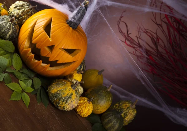 Halloween pumpkin Jack — Stock Photo, Image