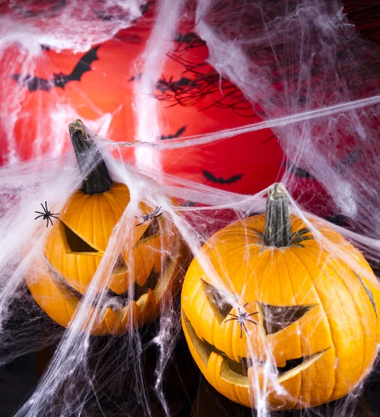 Skrämmande jack, halloween pumpa och spider — Stockfoto