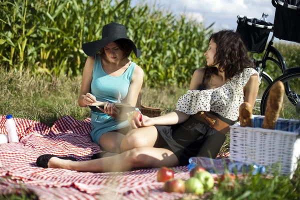 Élvezi a piknik meg — Stock Fotó