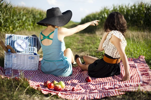 Friends Enjoying Picnic — Stock Photo, Image