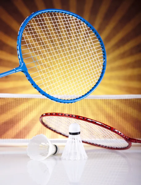 Navetta su racchetta badminton — Foto Stock
