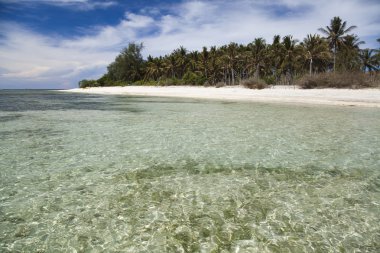 tropikal ada