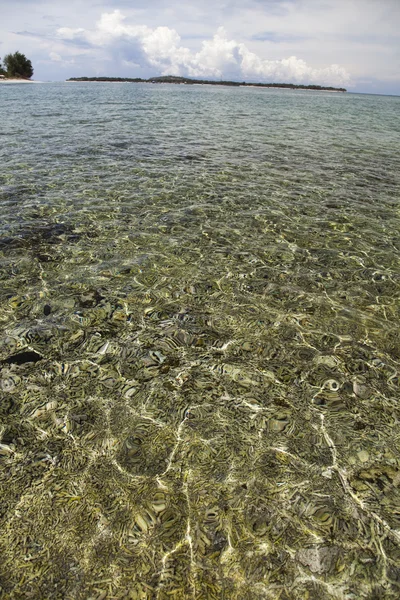 熱帯の島 — ストック写真