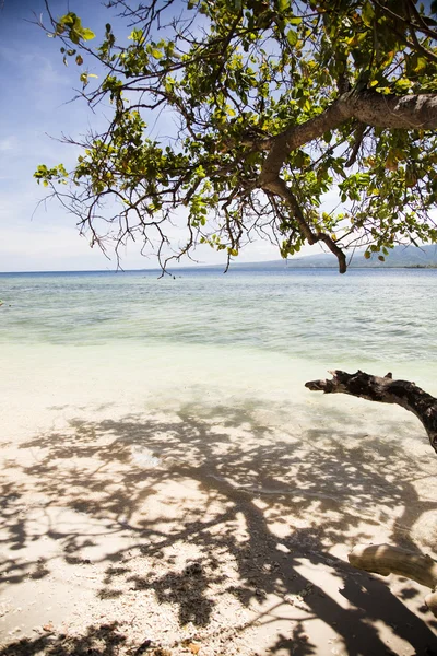 Spiaggia di sabbia — Foto Stock