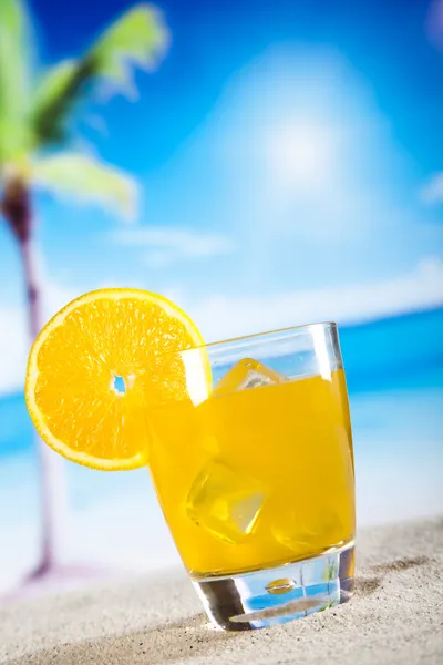 Tropický koktejl — Stock fotografie