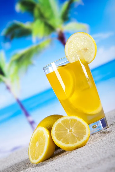 Tropical cocktail — Stock Photo, Image