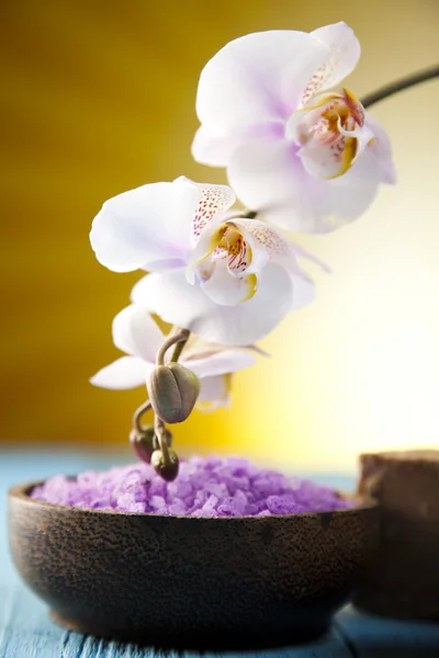 Orchids,organic products, Spa — Stock Photo, Image