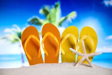 renkli flip flop