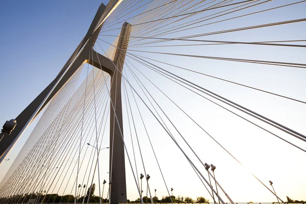 Puente de cuerda — Foto de Stock