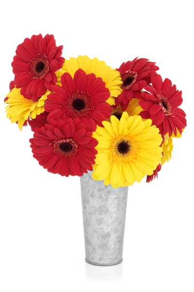 Gerbera Flowers — Stock Photo, Image