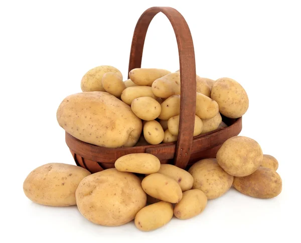 Kartoffelsorten — Stockfoto