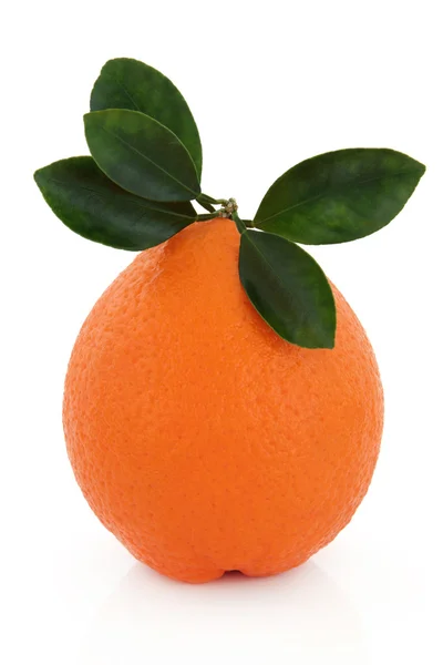 Orange Valencia — Photo