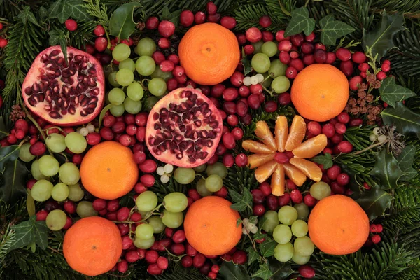 Christmas Fruit and Flora — Stock Photo, Image