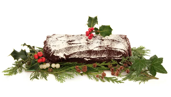 Yule Log Christmas Cake — Stock Photo, Image