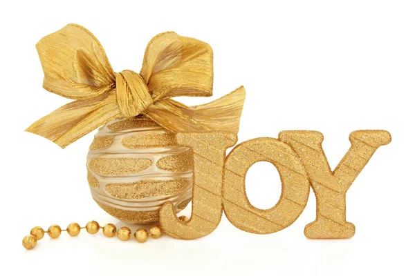 Christmas Joy — Stock Photo, Image