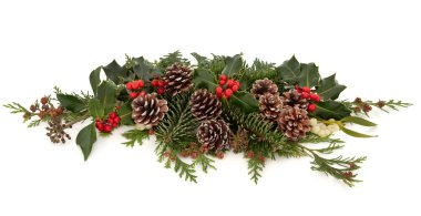 Kış flora ve fauna