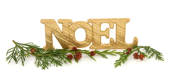 Decorazione del noel — Foto Stock