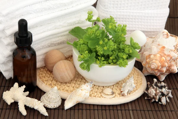 Herbal Spa — Stockfoto