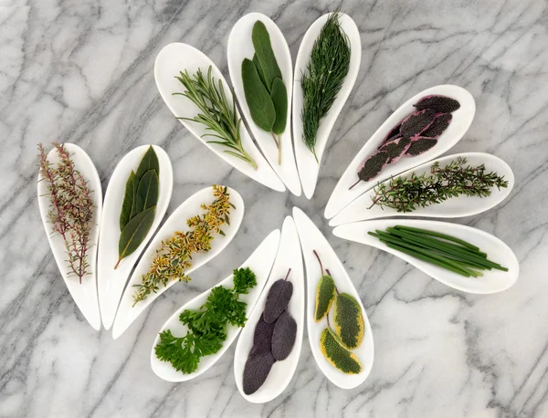 Herb Selection — Stock Photo, Image