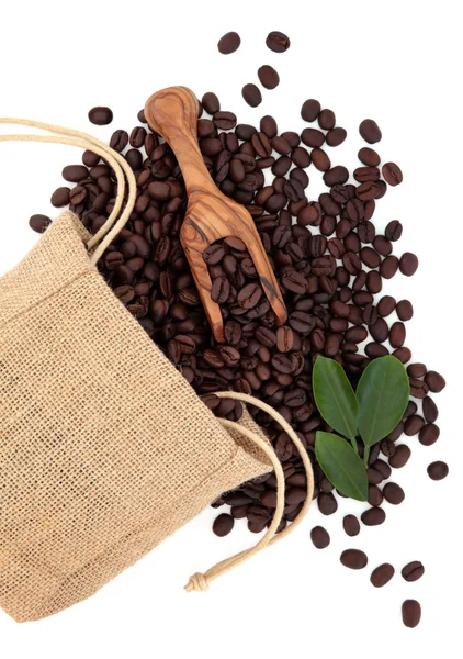 Coffee Beans — Stock Photo, Image