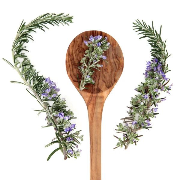 Rosemary Herb — Stock Photo, Image