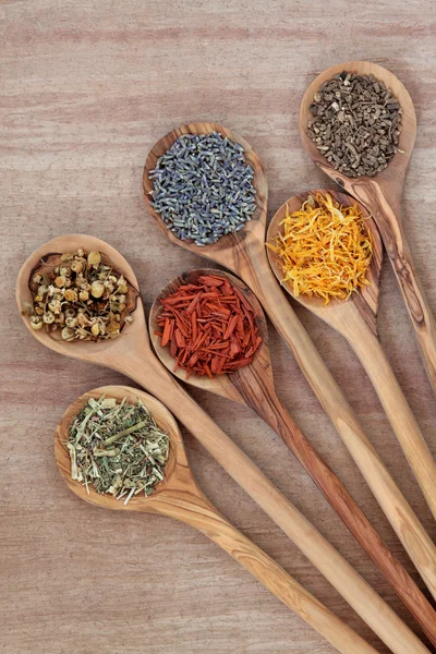 Herbs for Health — Stock Photo, Image