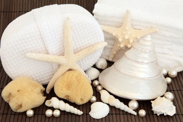 Spa Sea Shell — Fotografia de Stock