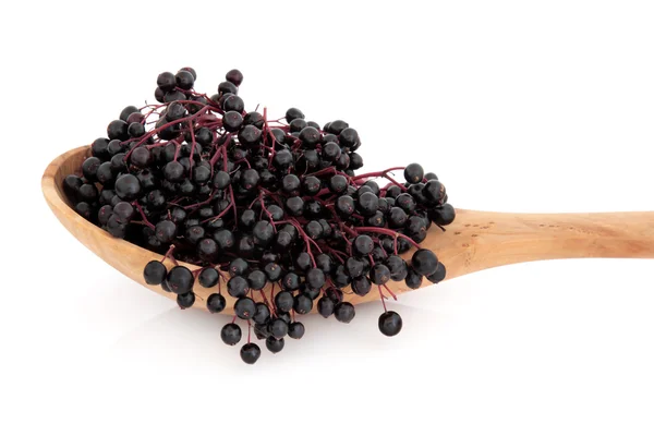 Elderberry Fruit — Stock Photo, Image