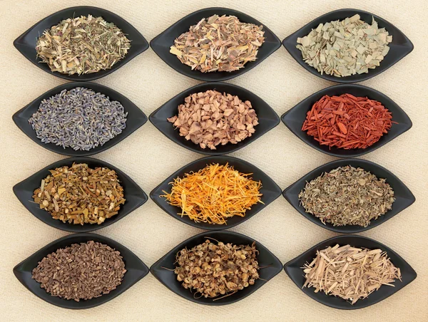 Medicinal and Magical Herbs — Stock Photo, Image