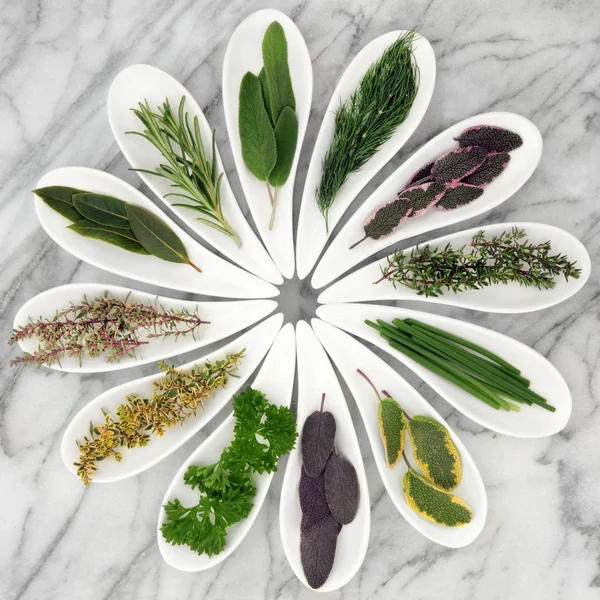 Herbs — Stock Photo, Image