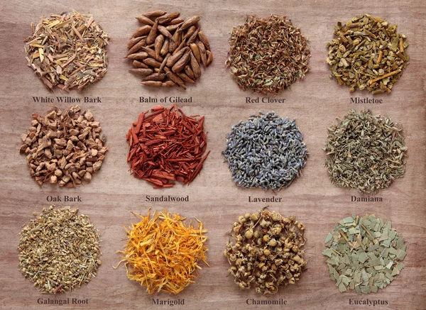 Magical and Medicinal Herbs — Stock Photo, Image