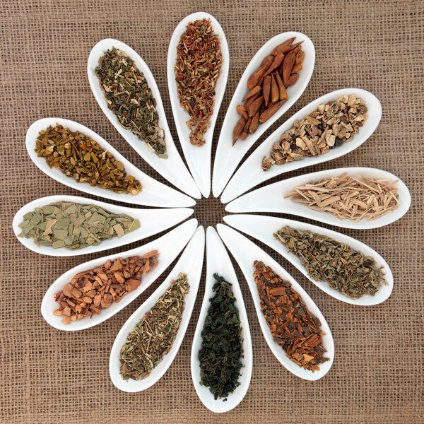 Magical and Mediicinal Herbs