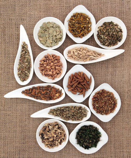 Medicinal and Magical Herbs