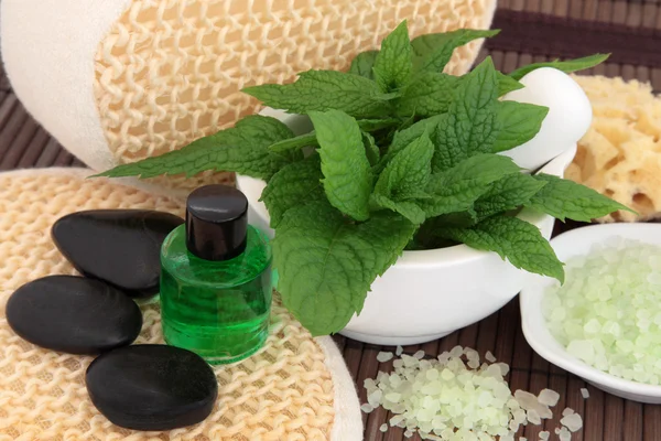 Mint Herb Spa Treatment — Stock Photo, Image