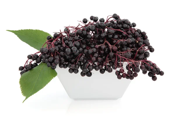 Elderberry Fruit — Stock Photo, Image