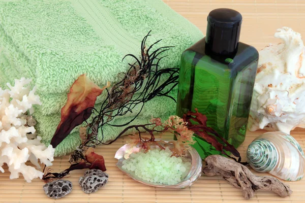 Produtos de spa natural — Fotografia de Stock