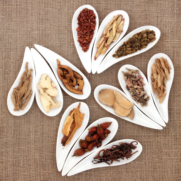 Chinese Herb Selection — Stock Photo, Image