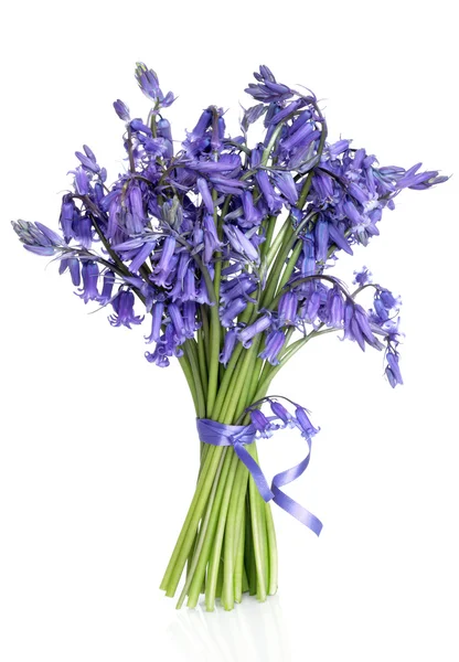 Bluebell Flower Posy — Stock Photo, Image