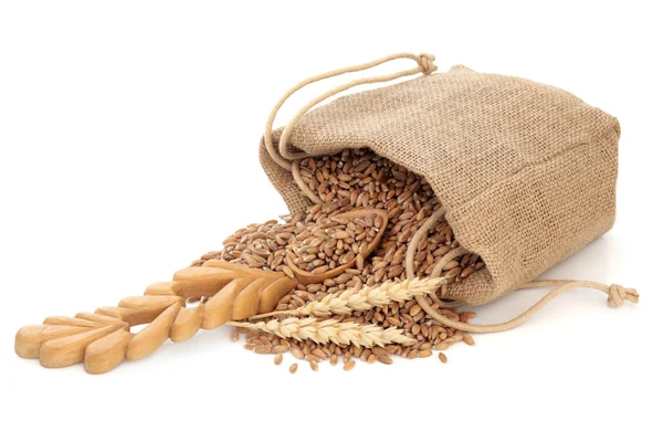 Wheat — Stock Photo, Image