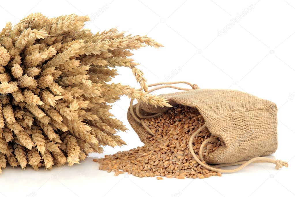 Spelt Wheat