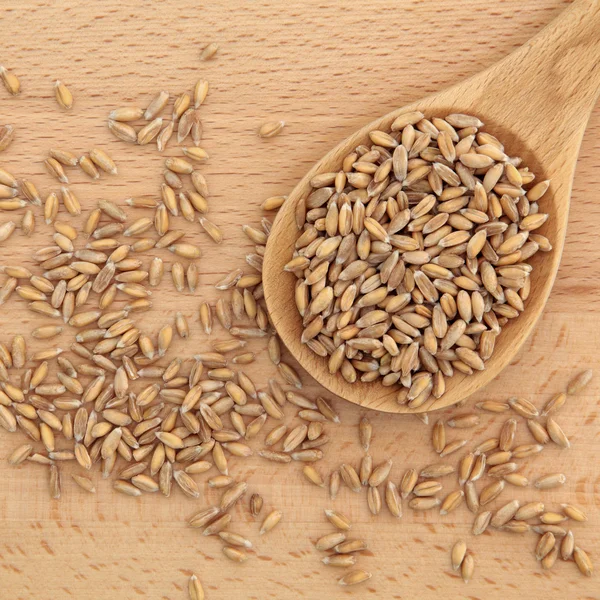 Wheat Grain — Stock Photo, Image